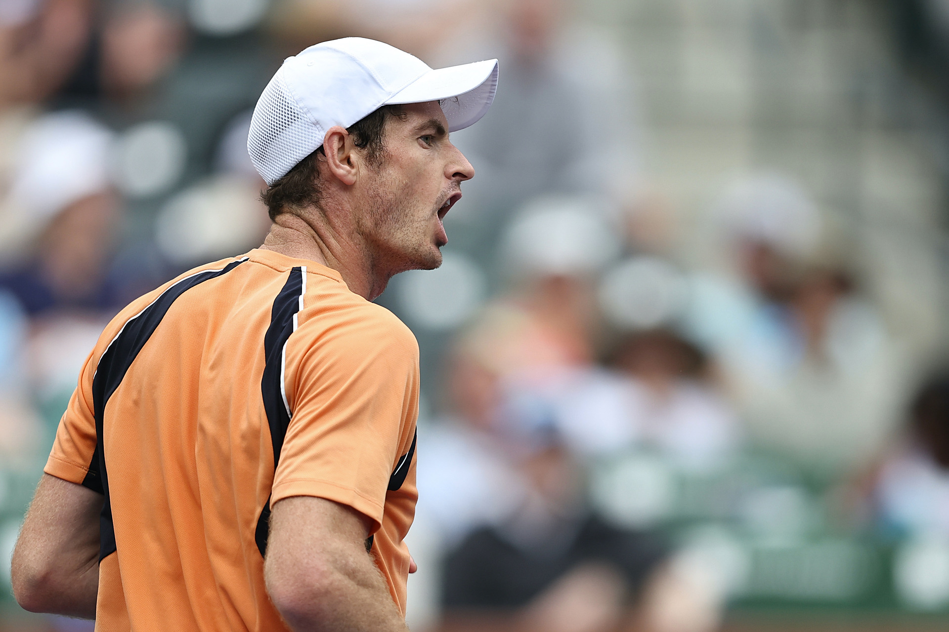 世界网球队绝地反击美国网球队,穆雷高光表现的简单介绍 世界网球队绝地反击美国网球队,穆雷高光表现的简单介绍