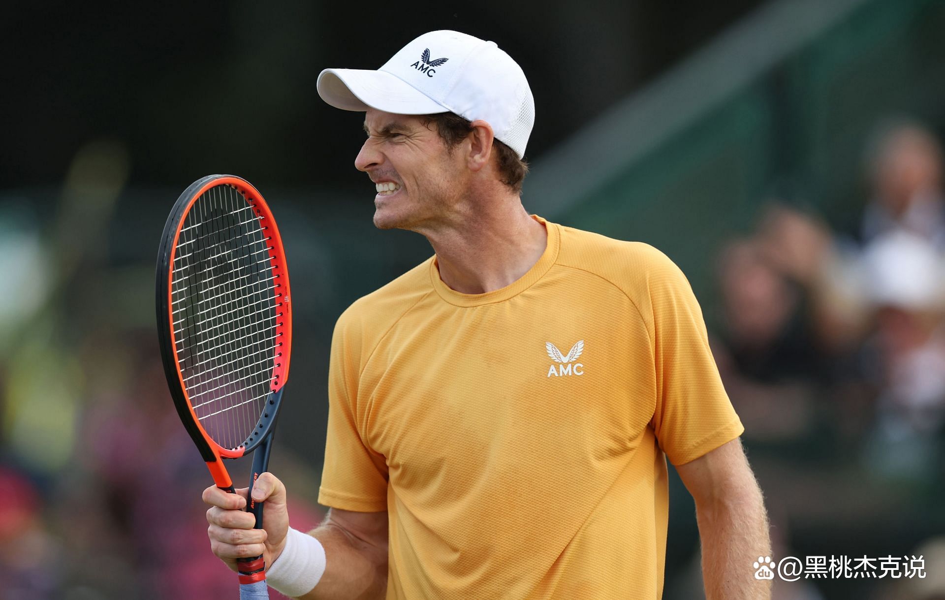 温网险胜澳网，穆雷高光表现