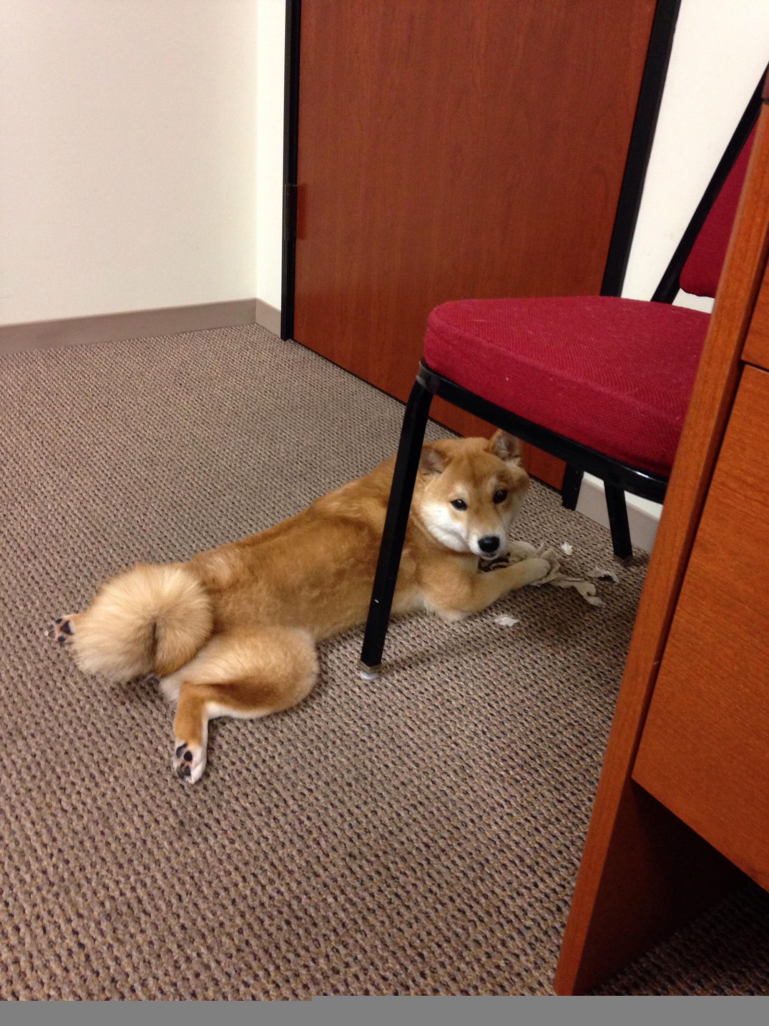 那夜，是谁的绝杀为千万深夜食堂送上滚烫慰藉？