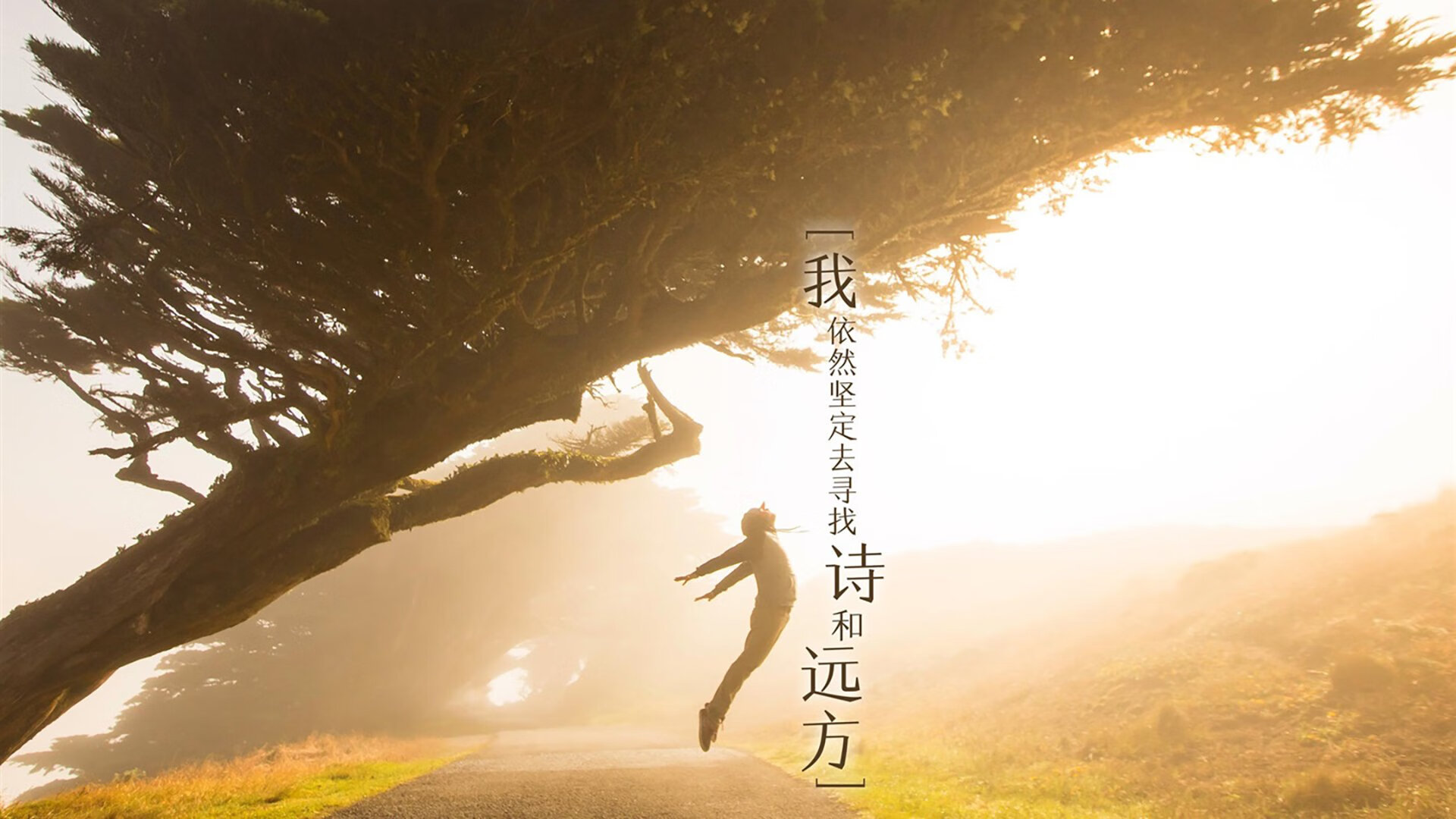 殿堂与革命，当拉沃尔杯以团队之火力克澳网孤独王座