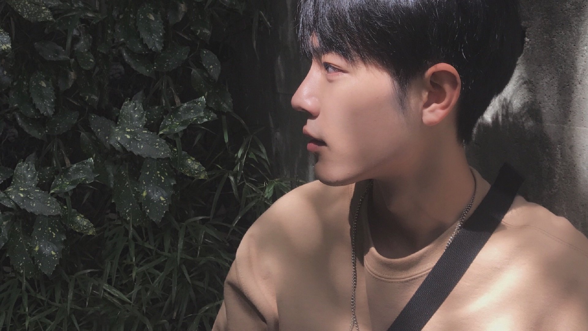 黄黑风暴席卷梦剧场,多特蒙德战术制胜,曼联欧冠之路蒙阴影