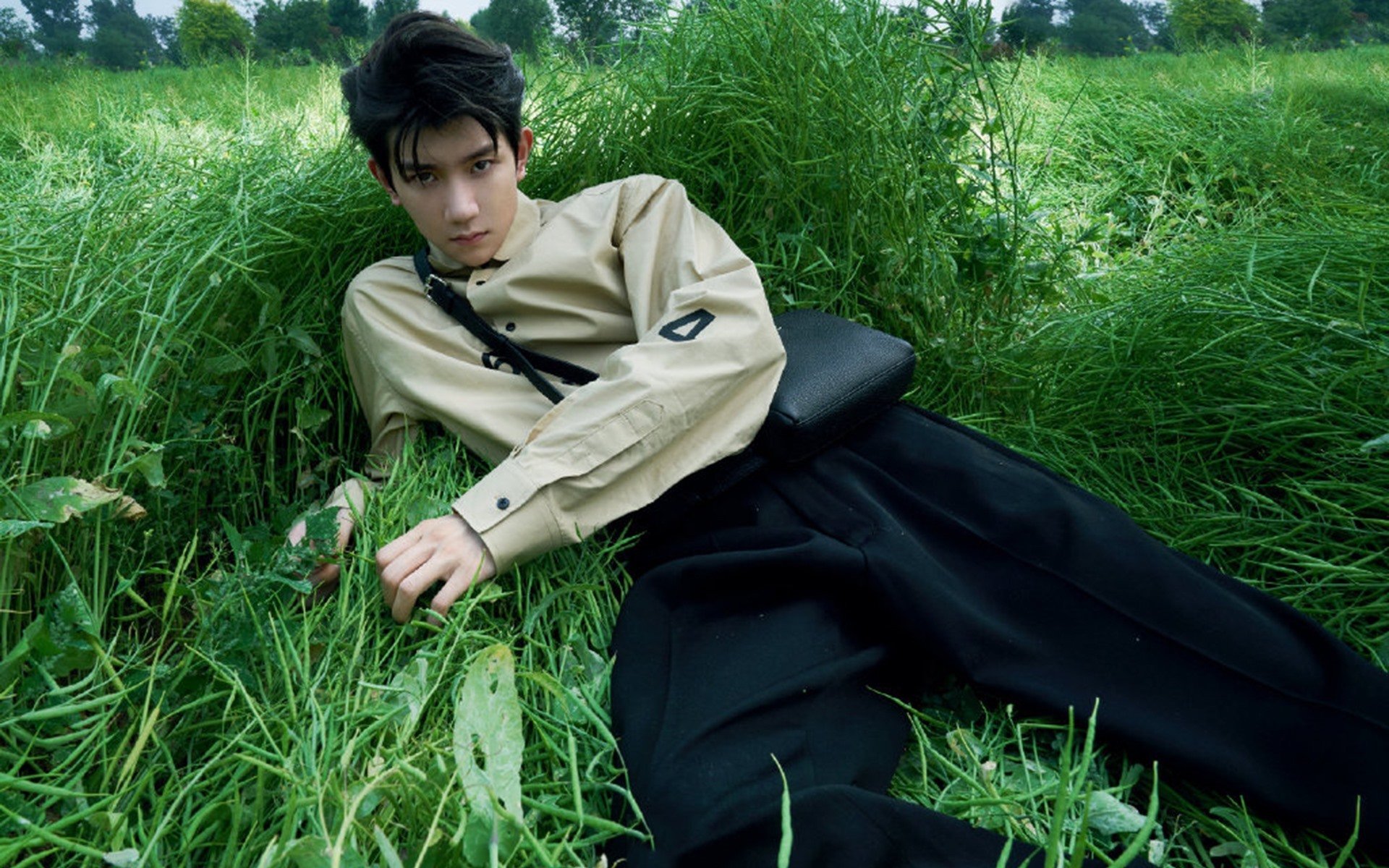 黄黑风暴席卷梦剧场,多特蒙德战术制胜,曼联欧冠之路蒙阴影