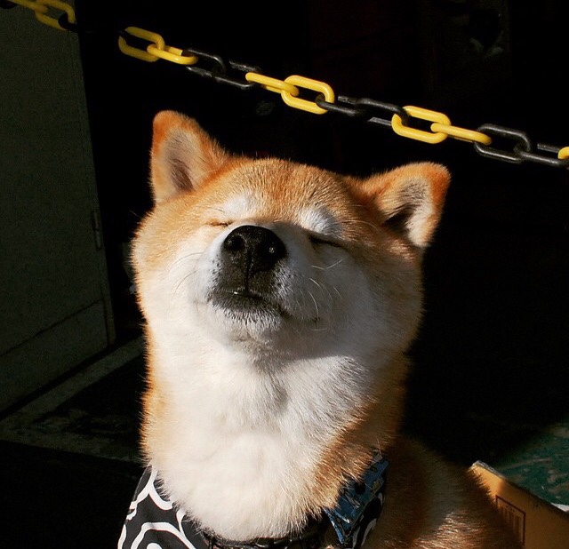 加时鏖战，活塞险胜公牛！班凯罗关键时刻挺身而出