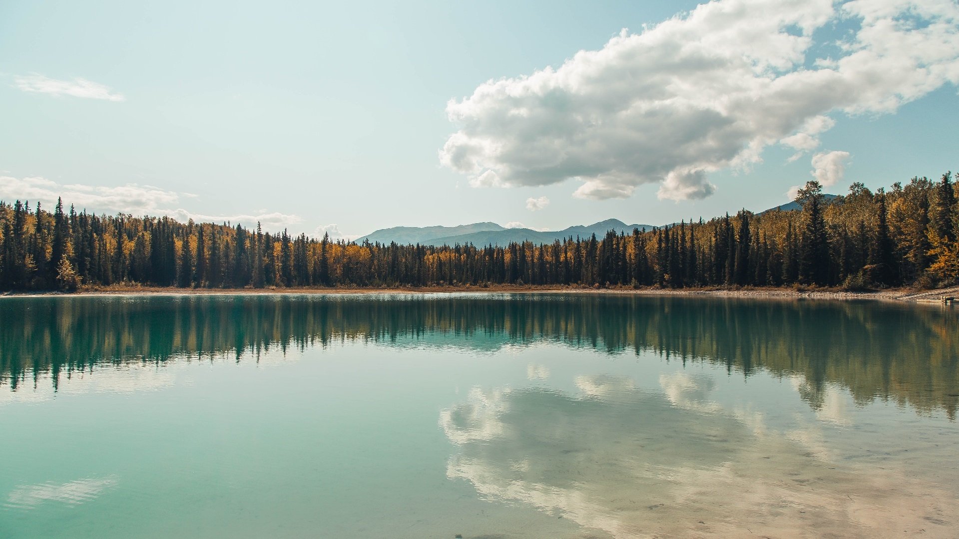 东方绿茵的文艺复兴,日本风暴强压紫百合,欧冠半决赛上演技术革命