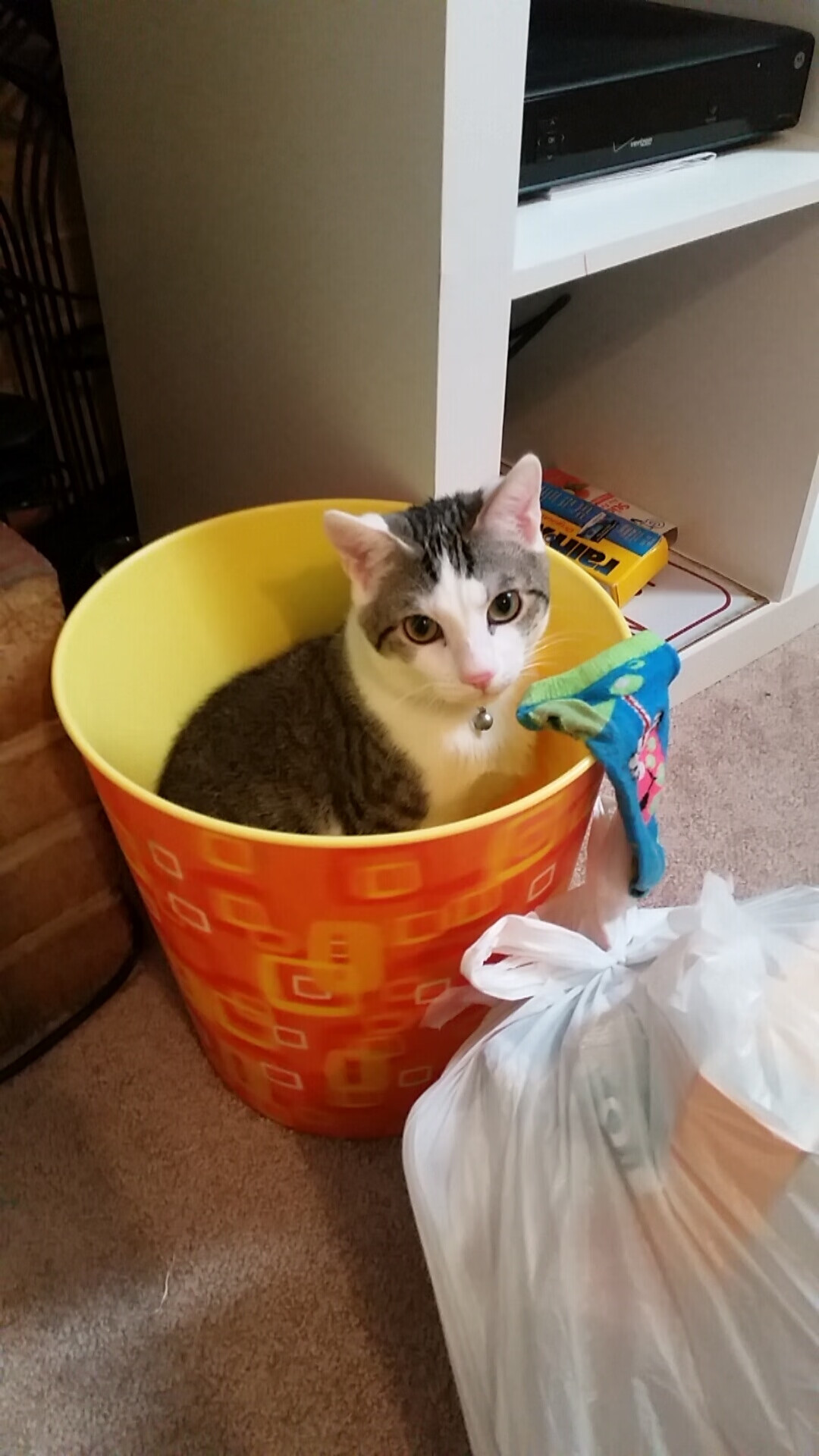 戈麦斯的致胜传奇，NBA总决赛之夜的关键时刻