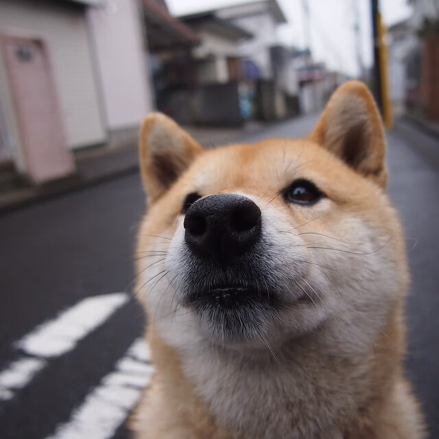 当波斯湾的阴影投射在硬木地板，萨卡用总决赛接管致敬希腊式强压