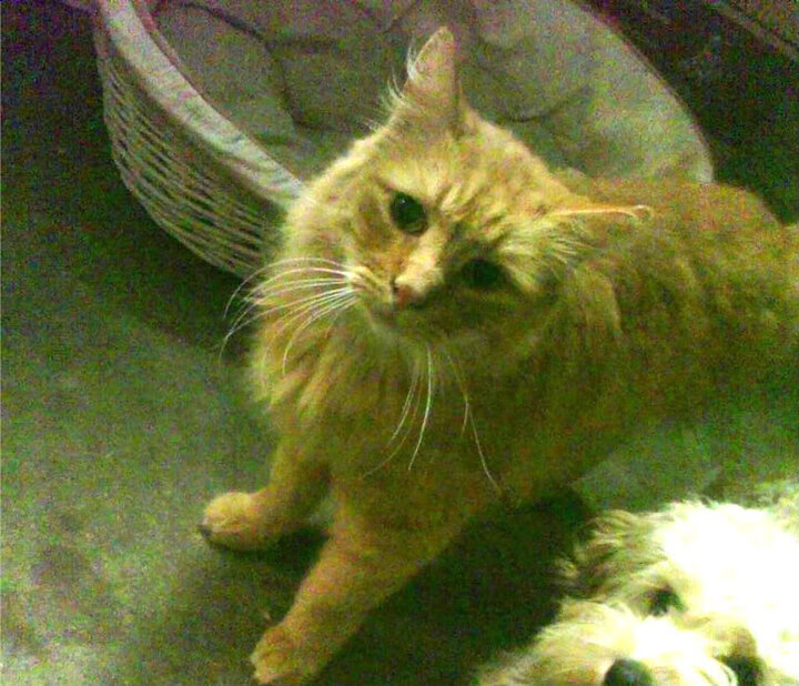 乔治演绎单骑闯关，北京队主场沦陷骑士铁蹄之下