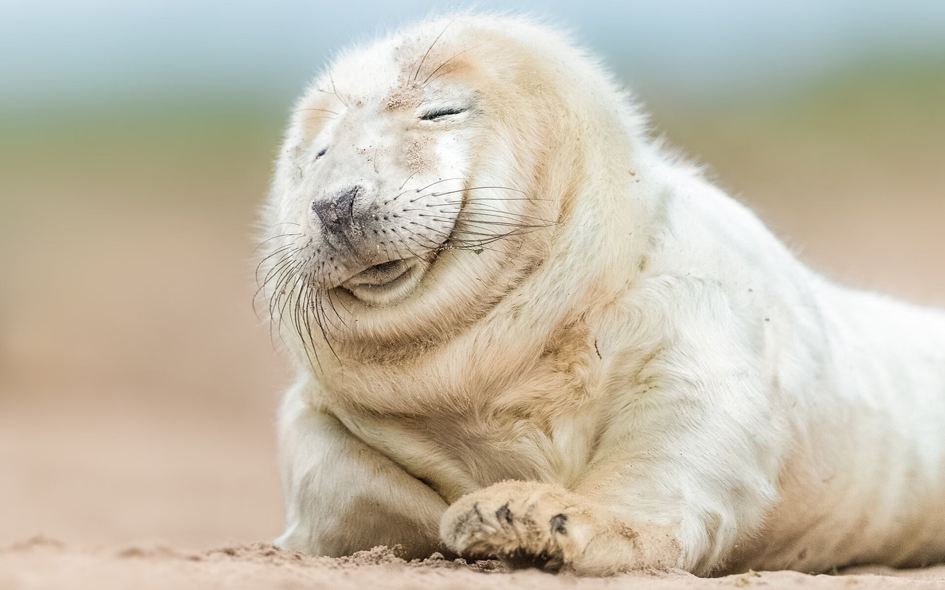 悬念在起跑线终结，红牛公牛巴林提前加冕，维斯塔潘的无情统治