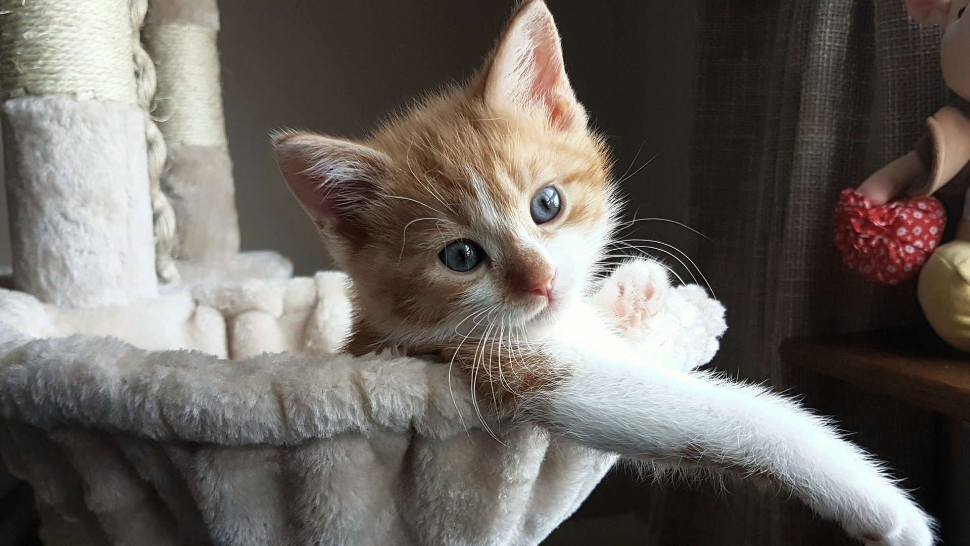 克莱·汤普森关键先生降临丹佛！掘金主场狂胜马刺创赛季新高