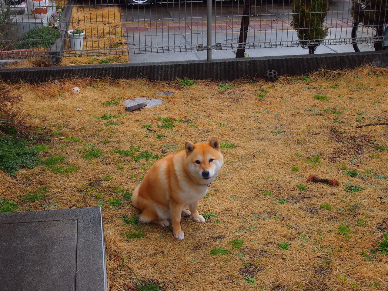 银黑利刃刺穿绿衫，无名之辈今夜封神