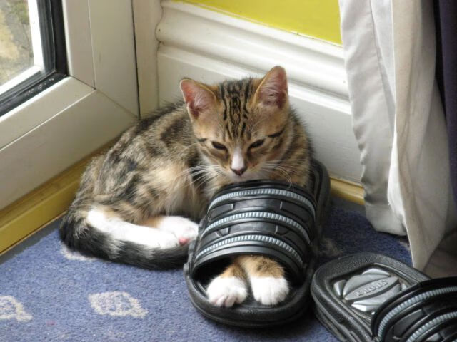 惊魂六分钟，克莱如何用三次出手让太阳提前落入黑暗