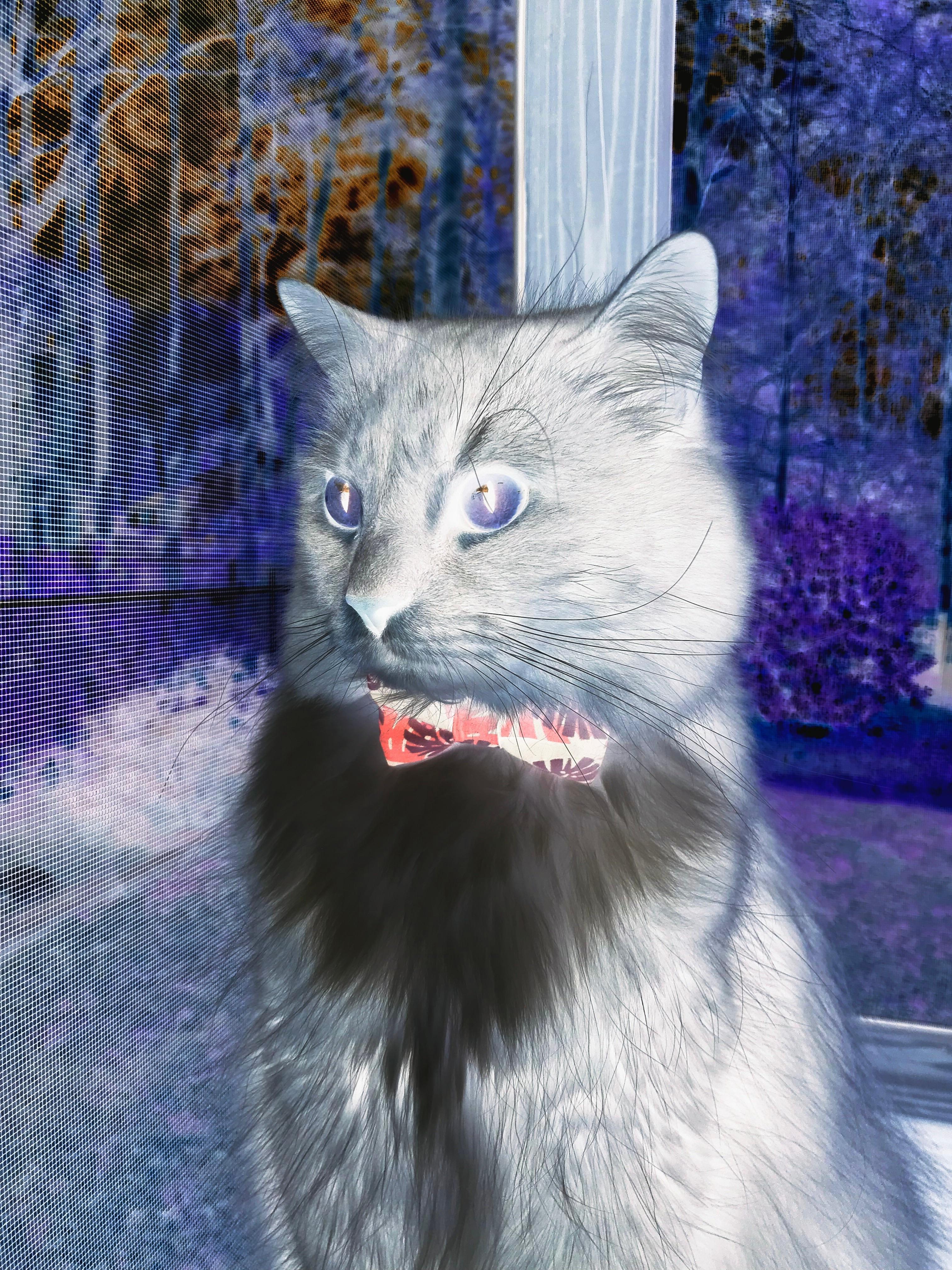 奥运周期关键战，却在小镇球馆上演，雷霆末节，如何带走了新疆队