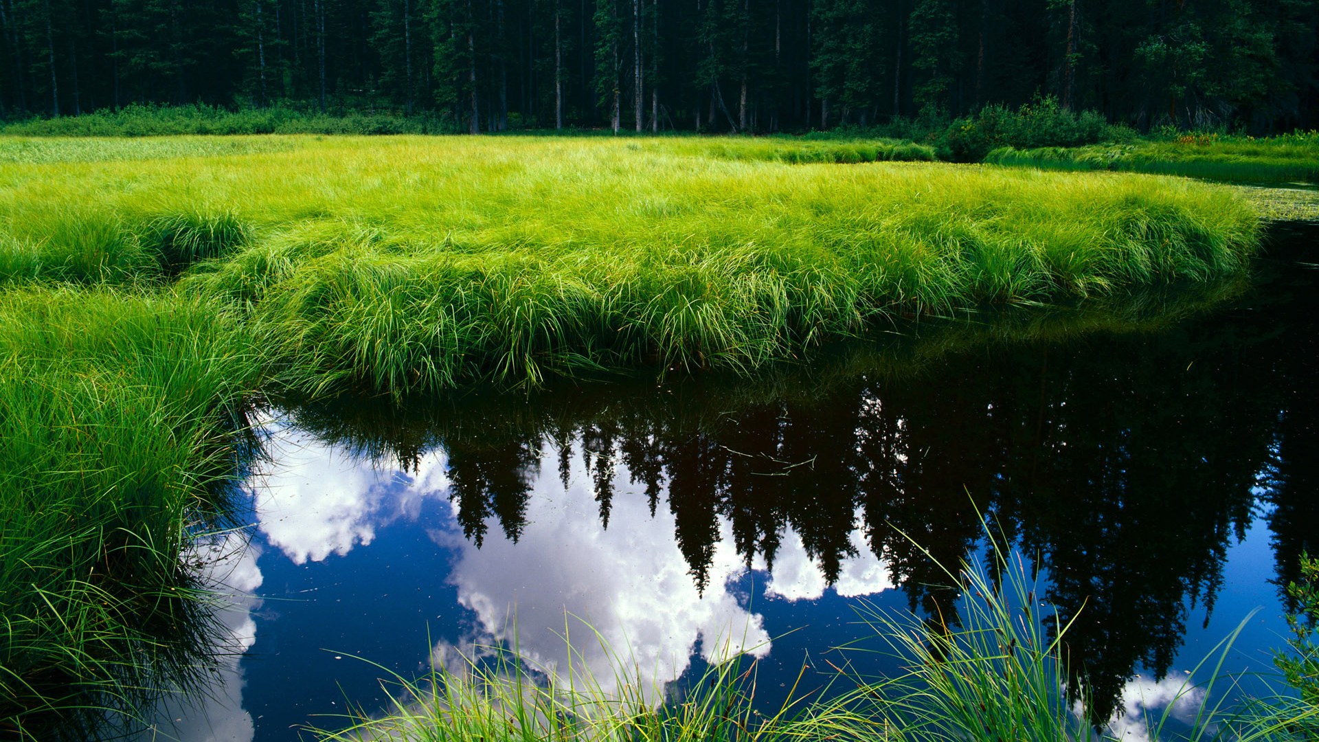破壁者与体系风暴，三笘薰的稳定艺术与巴萨的战术洪流