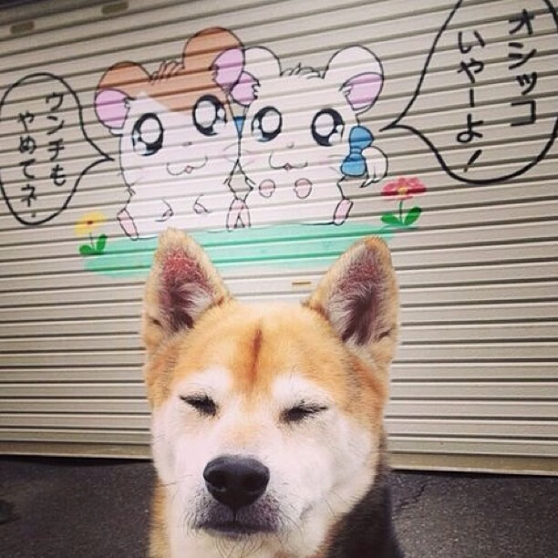 那道撕裂黑夜的绿光，加克波与唯一不可复制的胜利之夜