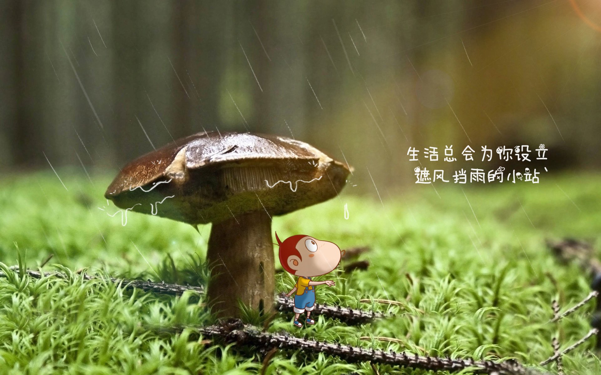 沙漠风暴中的潘帕斯之刃，2026世界杯，哥伦比亚绝杀沙特，苏亚雷斯的不老传说