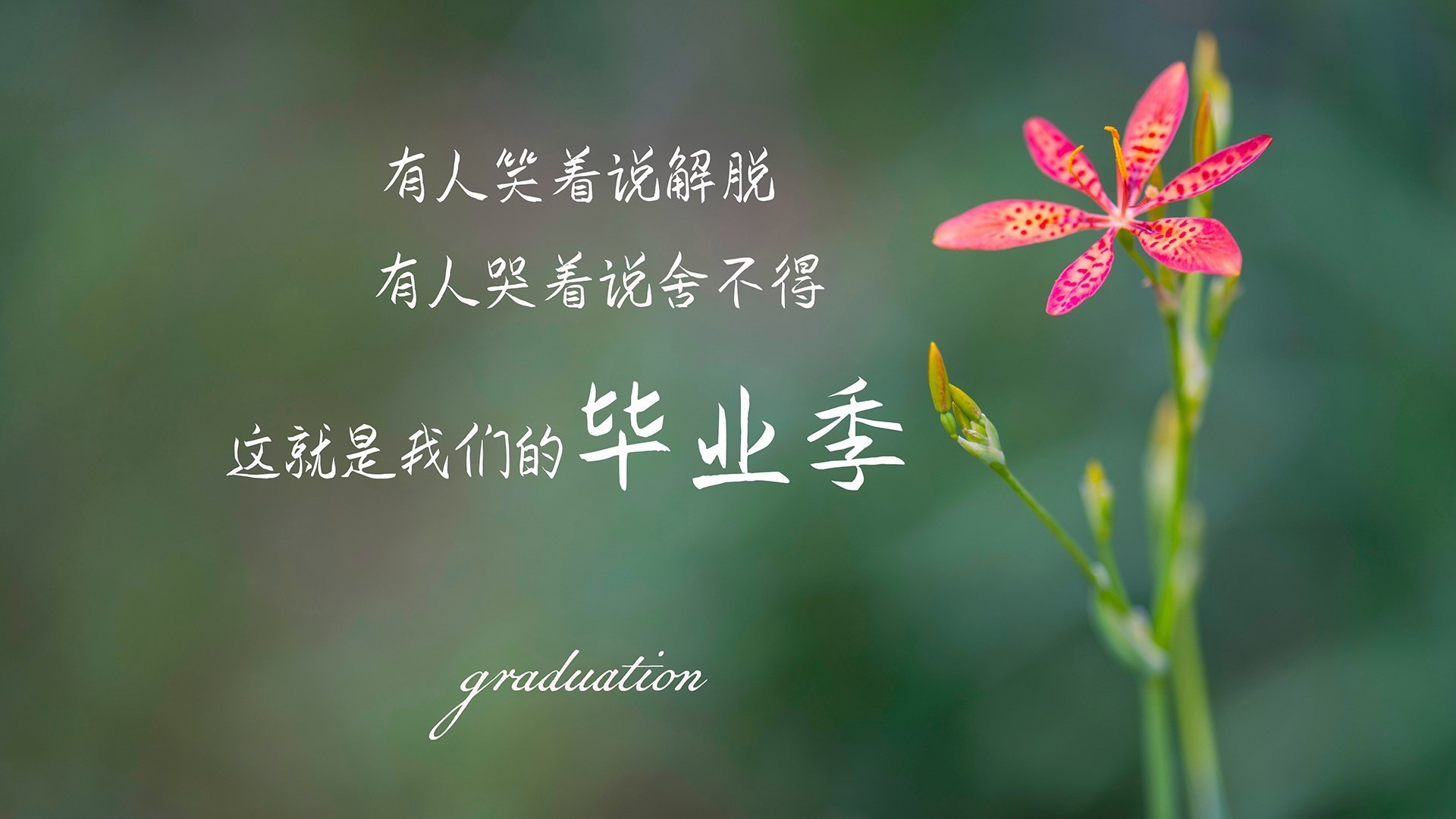 唯一的光，当斯洛伐克的逆袭遇见阿方索·戴维斯的古典密码
