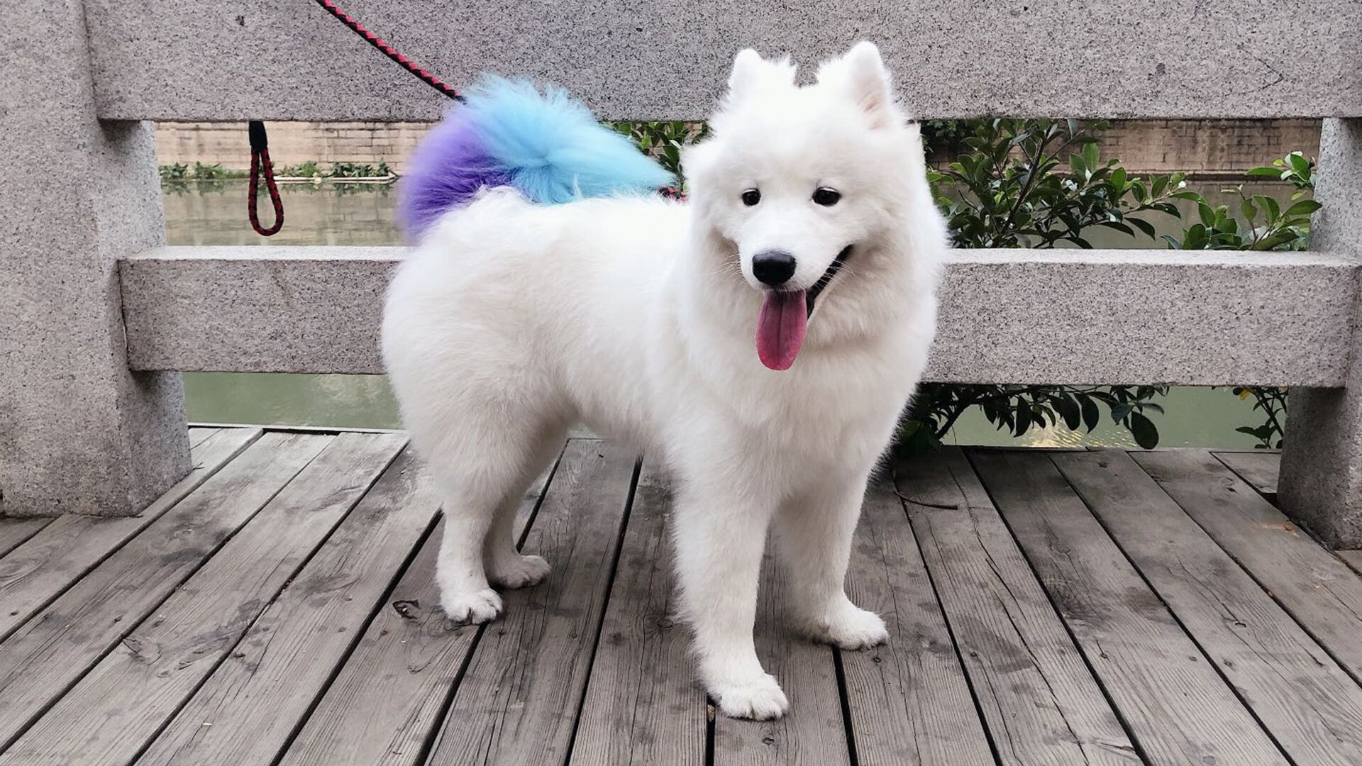 加维的唯一之夜—2026世界杯B组焦点战，喀麦隆如何用压制战术成就了西班牙少年的中场神话