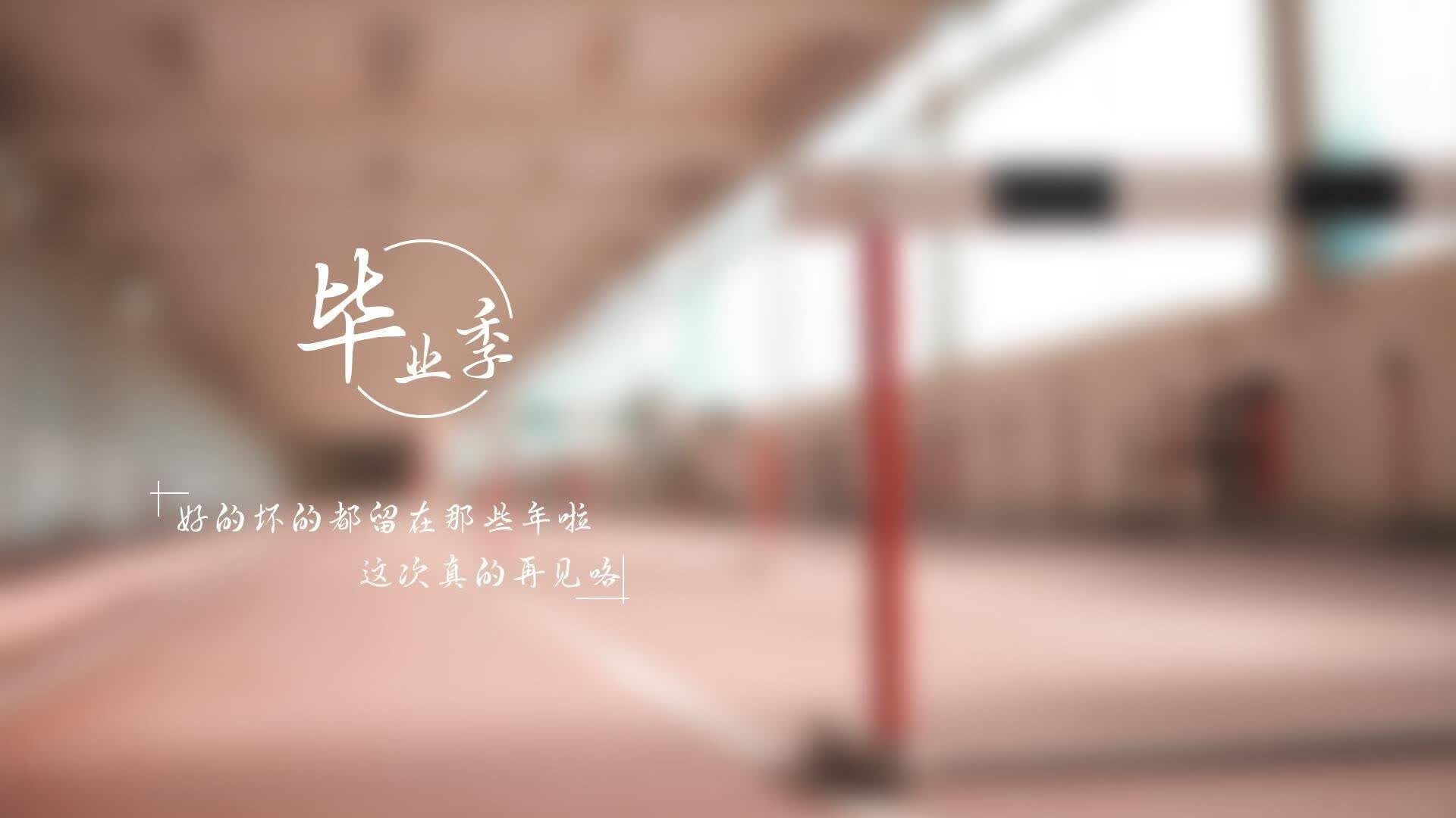 闪电风暴下的不屈灵魂，2026世界杯C组焦点战，德国战车以速度碾碎匈牙利，莱万独造三球诠释锋线之王