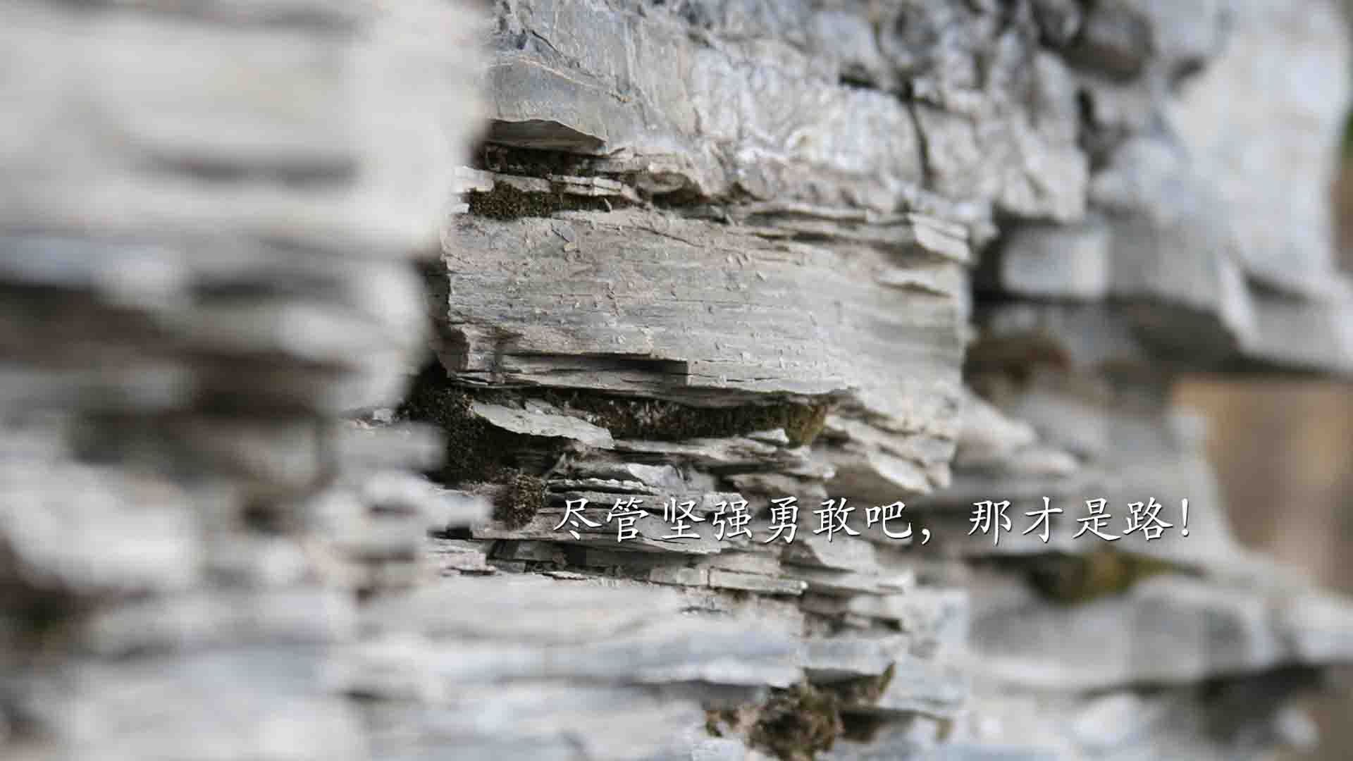只有一次起跳的机会，当奥斯梅恩的膝盖高于所有条条框框—2026世界杯，加拿大vs伊朗，关于唯一解法的足球哲学
